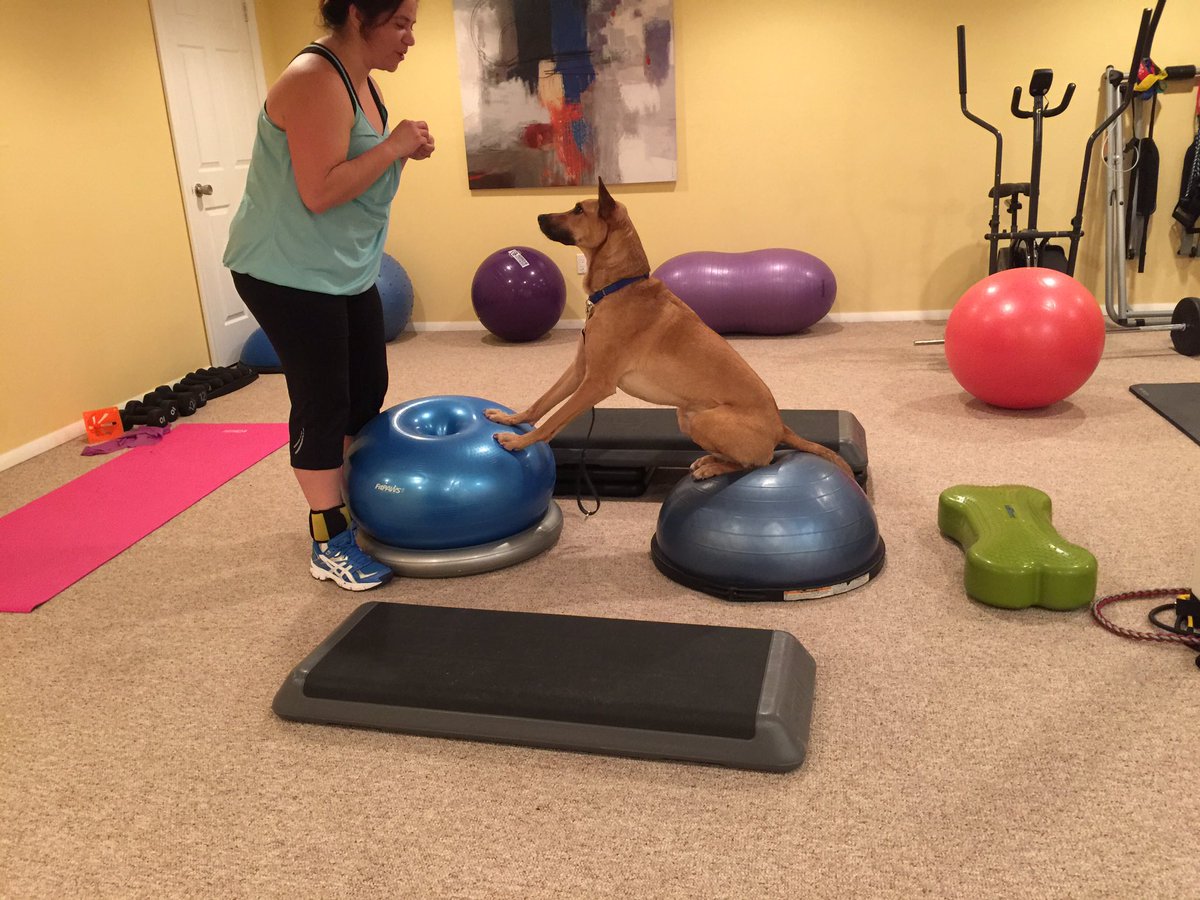 HumanK9Fit's tweet photo. Checkout the link below for level 2 Human/Canine Fitness Fun pics! https://t.co/l4MY2adXAl https://t.co/HX2xdPcNa8