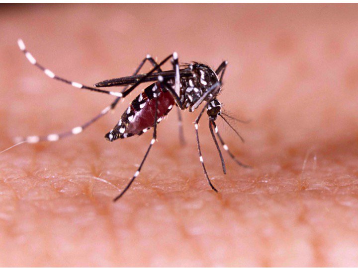 Thermo Fisher tweet media