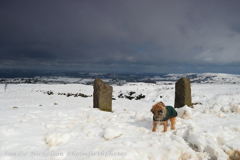 A sleet laden sky this morning at #HadeEdge Thanks to <a href="/kerriegosneyTV/">Kerrie Gosney</a> for sharing on Calendar! #uksnow <a href="/Walkies_UK/">Walkies UK</a>