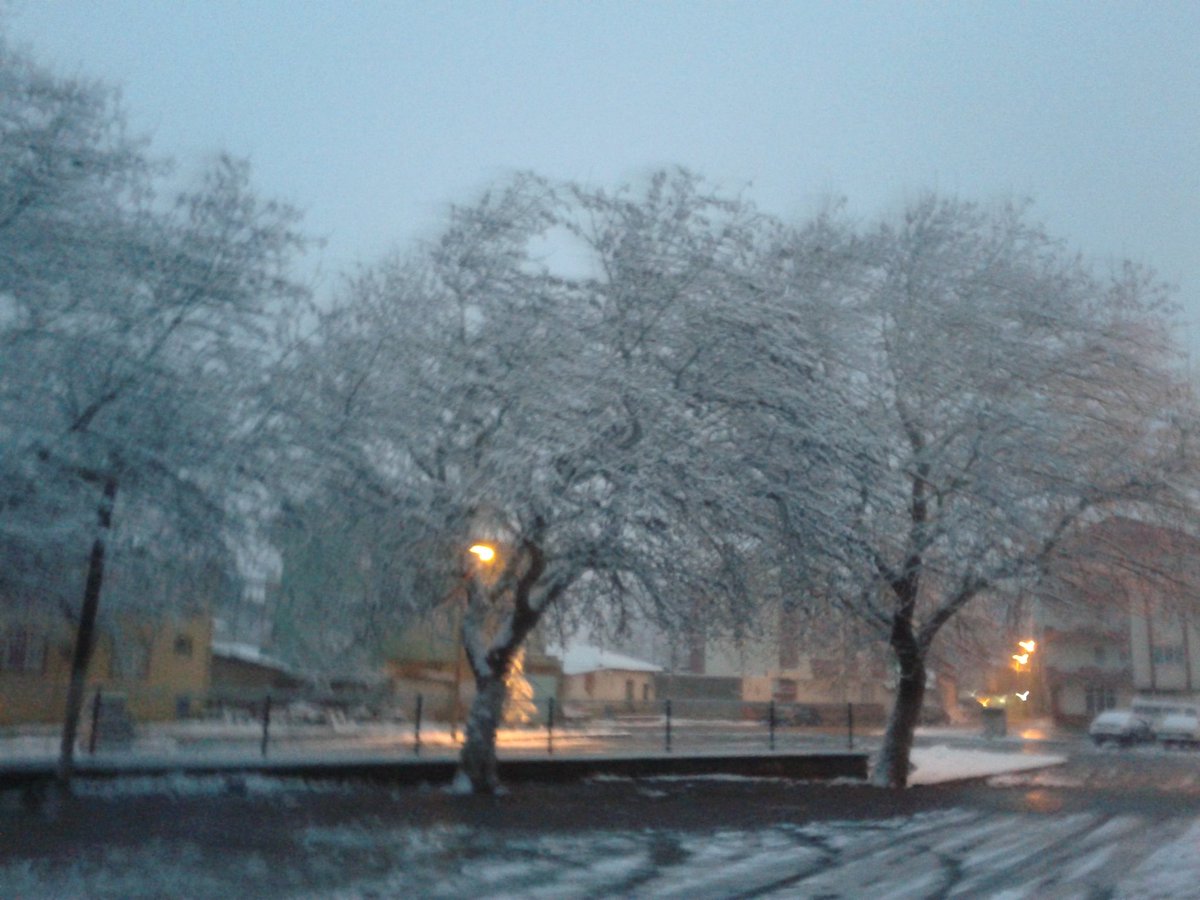 AlcanMumin's tweet image. 