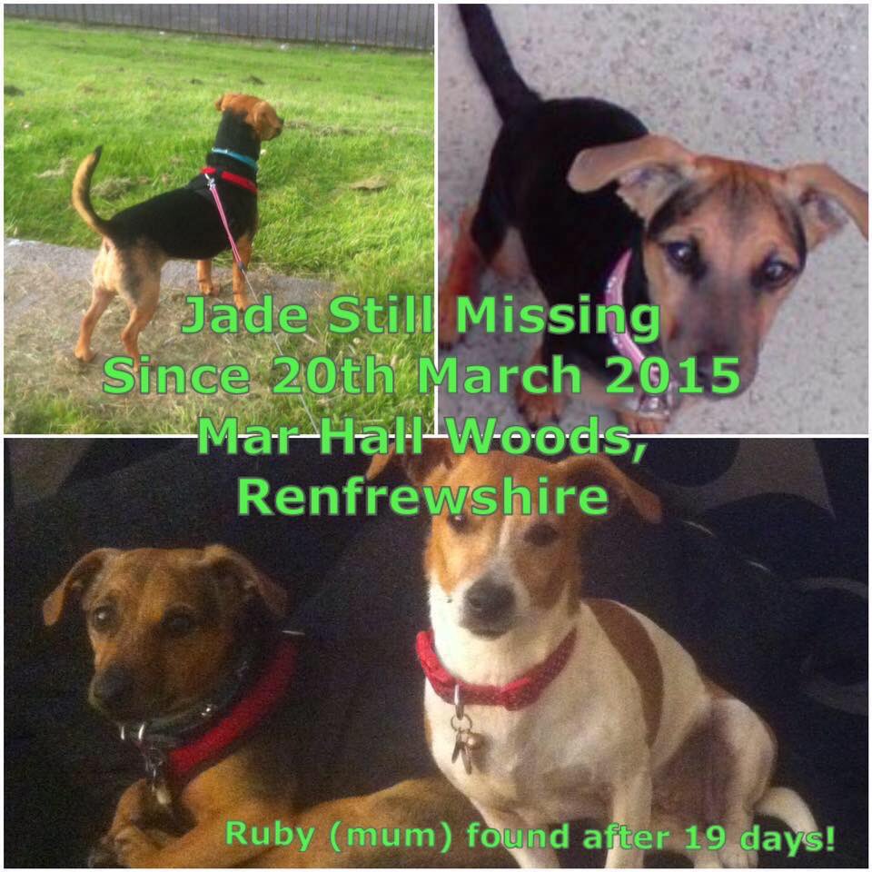 <a href="/findrubyandjade/">Find Ruby & Jade</a> 💕