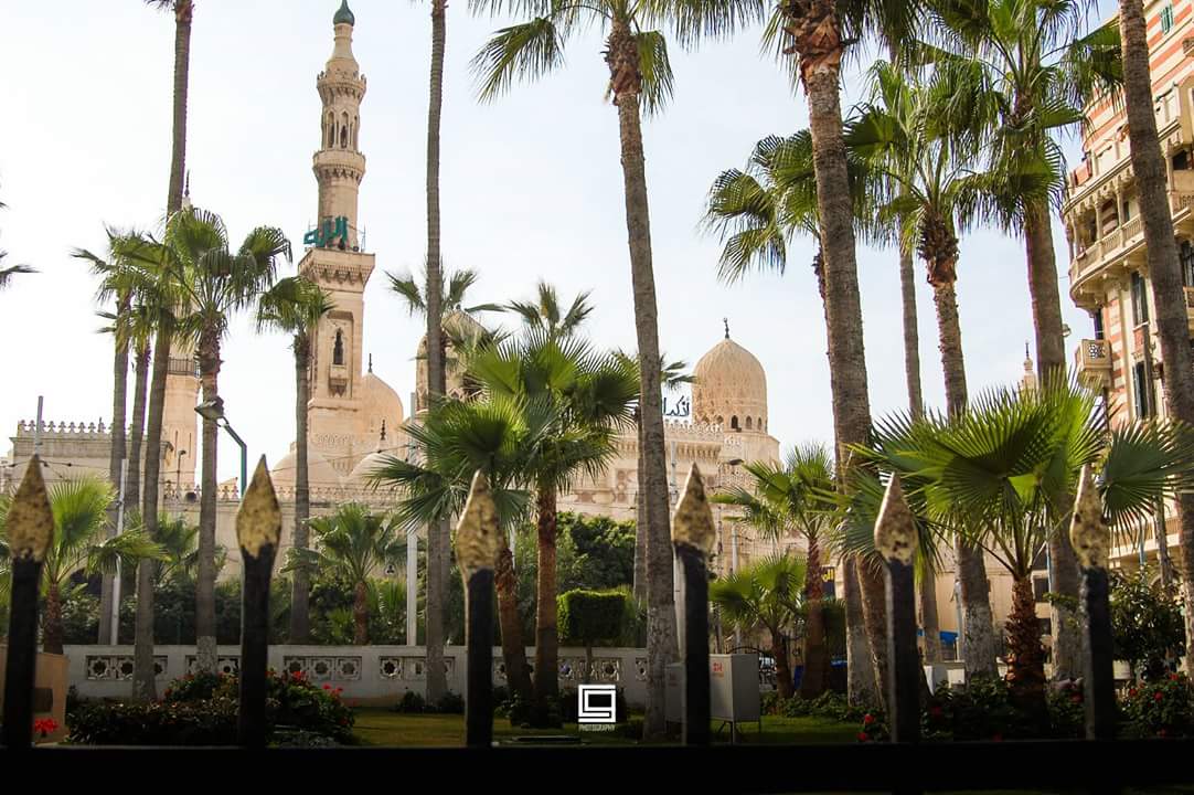 Anwario Designs tweet media