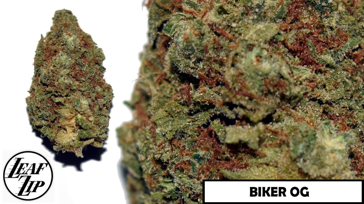 Leafzip's tweet photo. ORDER TODAY! 714-465-9482 #LeafZIP #30MinOrLess #weed #marijuana #OrangeCounty #stoner #highlife #highsociety #bud https://t.co/hqZJACQhlt