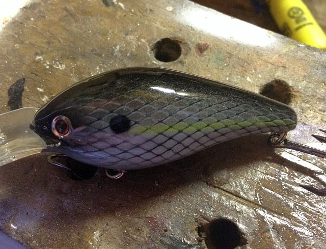 RebelBasser's tweet photo. Haven't painted in a while, decided to paint one in this nice windy weather. 3D Shad!! https://t.co/QiA977XHKu