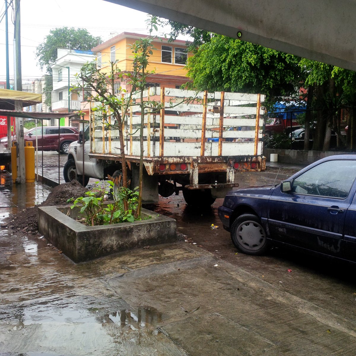 diegoctz's tweet photo. #AutoMaceta desde septiembre 2014 parada en calle Teodoro Avendaño atrás de facultad de humanidades @VialidadXalapa https://t.co/perlDDGYNg
