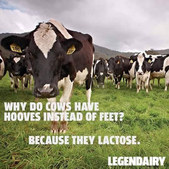 LifebyClarke's tweet photo. #jokes #puns #lacktoes 😂 https://t.co/rnr1oCPNLa