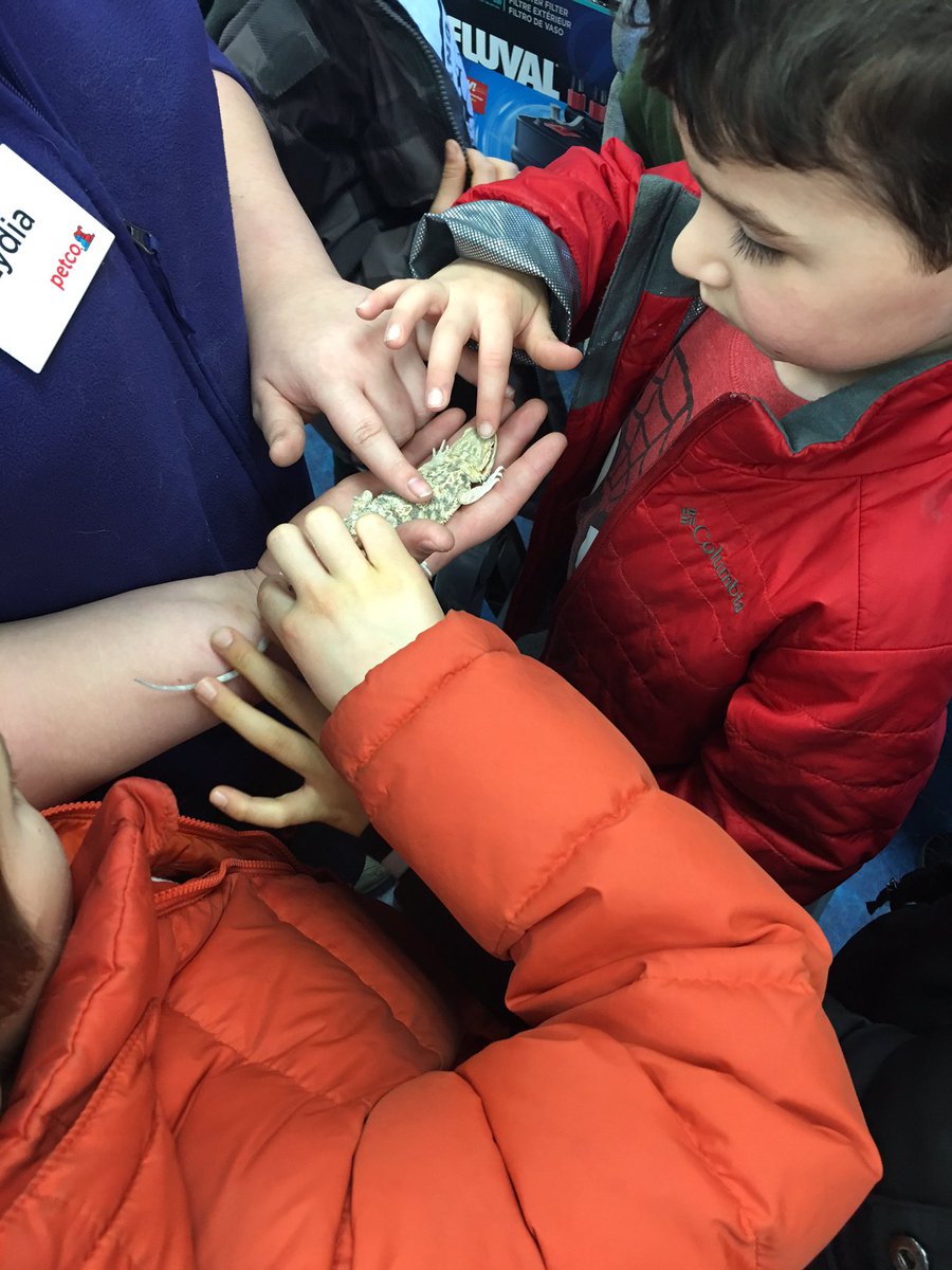 2ndgradekramer's tweet photo. Gathering hands on info for our quest to have a classroom pet! #2k106, @Petco https://t.co/kFZdKFOW29