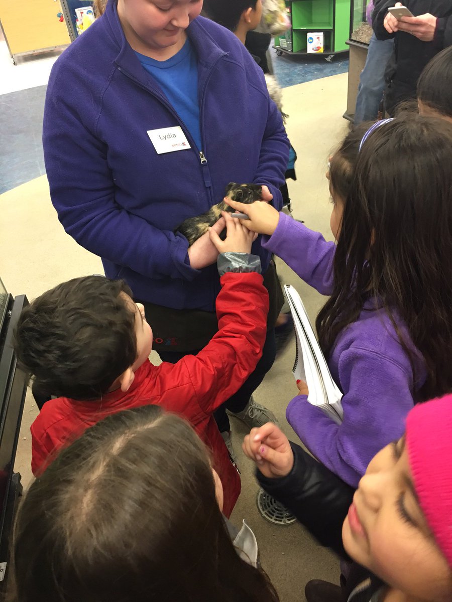 2ndgradekramer's tweet photo. Gathering hands on info for our quest to have a classroom pet! #2k106, @Petco https://t.co/kFZdKFOW29