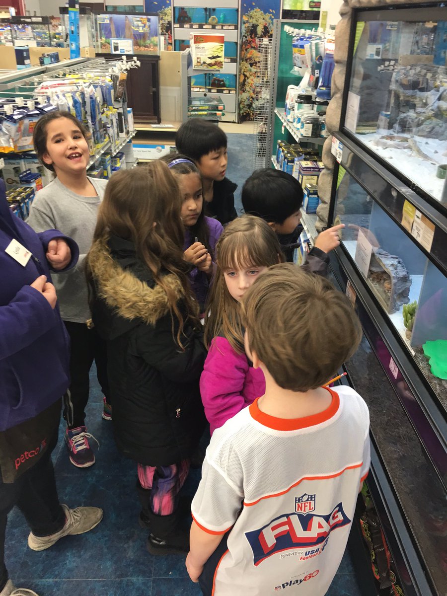 2ndgradekramer's tweet photo. Gathering hands on info for our quest to have a classroom pet! #2k106, @Petco https://t.co/kFZdKFOW29