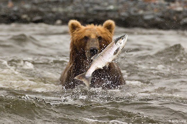 Use custom function settings to fine-tune autofocus performance for your subject. bit.ly/1TQ4aa1