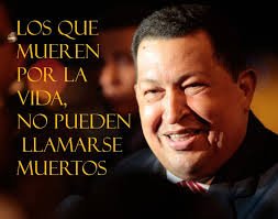 Bermudez M. tweet media