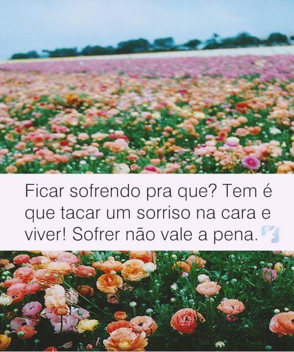 SERGIO TKT🌏🕊 (@sergiotkt12) on Twitter photo 