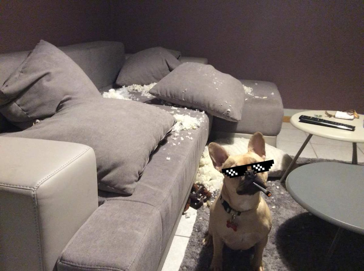 Afterparty after signing <a href="/SosumiRecords/">Sosumi Records</a> contract xD