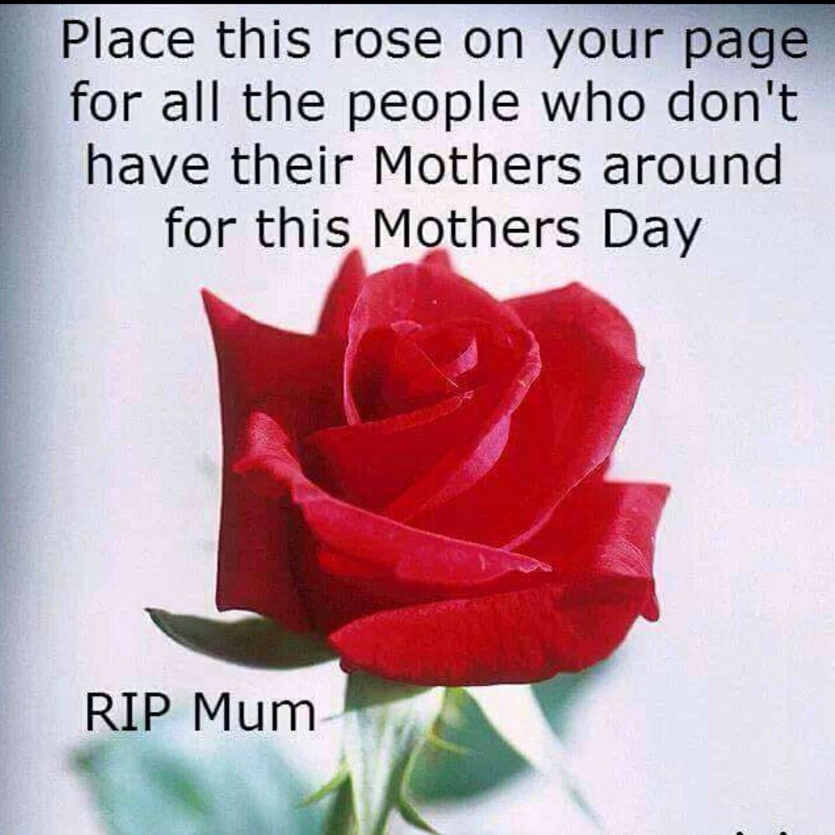 HigginsFamily5's tweet photo. Miss you Mom xx https://t.co/jbXk6YdRKw