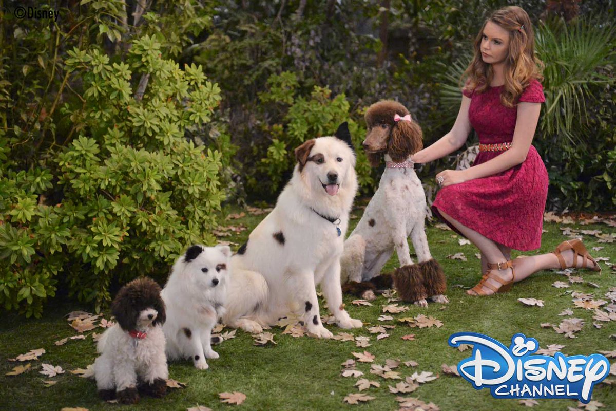 ディズニー チャンネル スターズ 公式 本日18時 ブログ犬 スタン は新エピソード スタン プリンセスを救う を放送 愛しの妻プリンセスが一か月間 遠方に行ってしまうことに 離れ離れになるのが辛いスタンは プリンセスの誘拐を企てる