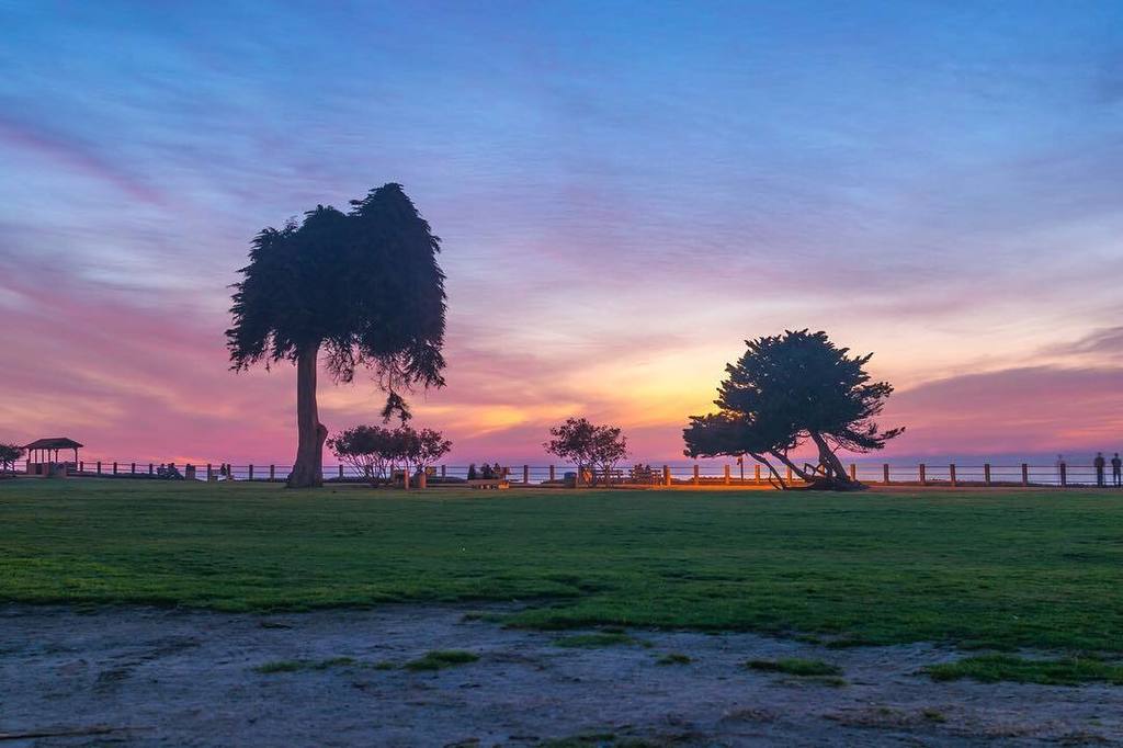 CaTurfPros's tweet image. Live this life with a little sensation. 
#ig_masterpiece #bindebros #watchthisinstagood #california_igers #igerssan…