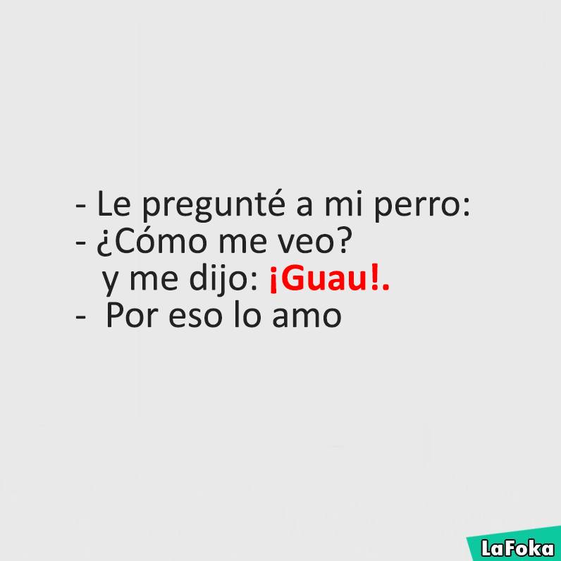 erastourreselle's tweet photo. Jjajaja Por eso Lo amo 😂😍😏 https://t.co/SlqVHbuJVe