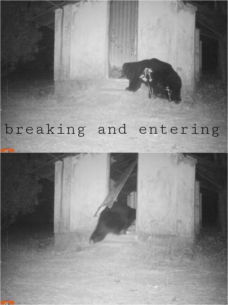 Fruits! Lots of fruits in there.. fruits that were going to the market... he ate it all..