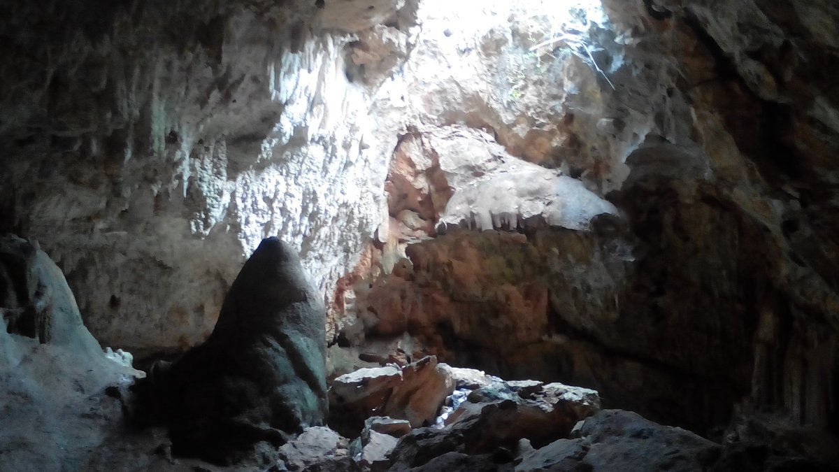aktunmeyaj's tweet photo. Aktun Bej es la #cueva del camino que visitamos el día de hoy en #Maxcanu https://t.co/9MiDF9wK1k