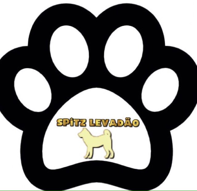 pagina oficial de salomon