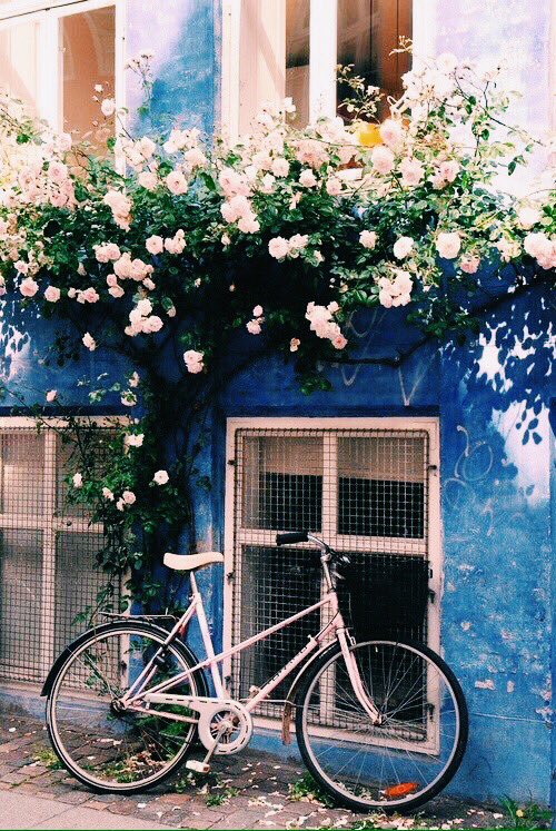 nicksaesthetic tweet picture