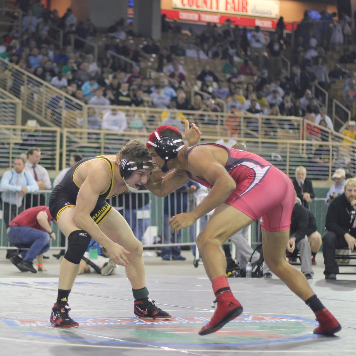 SEWrestle tweet media