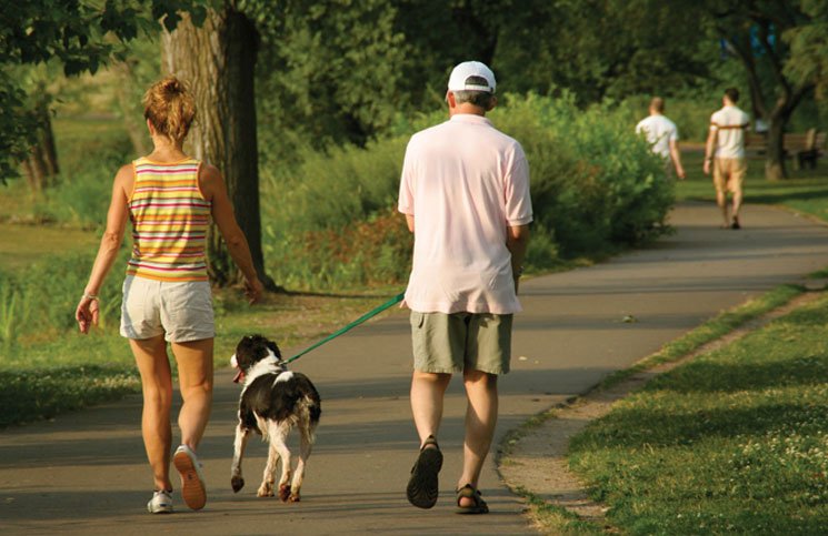 Pasear con tu perro es bueno para el corazón ► l100.la/Z5VVv