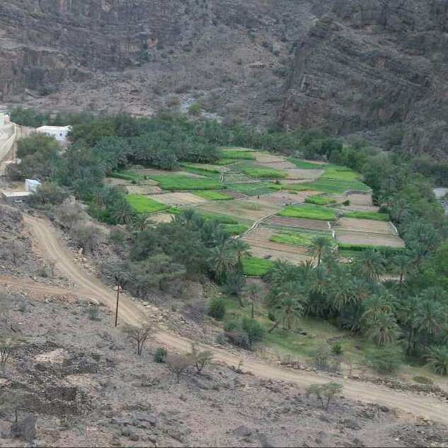 الصورة