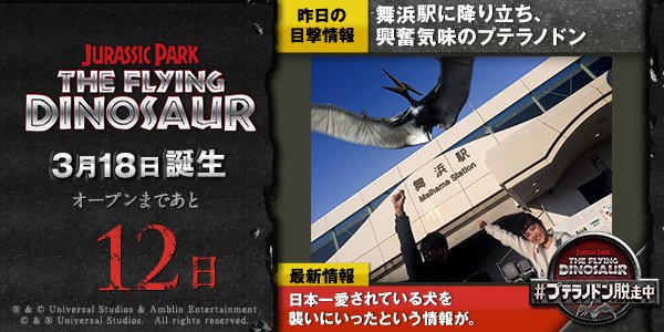 USJ_Official's tweet photo. 日本一愛されている犬を襲いにいったという情報が。プテラノドンを探してツイートで通報すると毎日10組20名に【先行体験】当たる⇒『#プテラノドン脱走中』 #USJ https://t.co/b6H2FPUOx2 https://t.co/4sFe5oNYIK