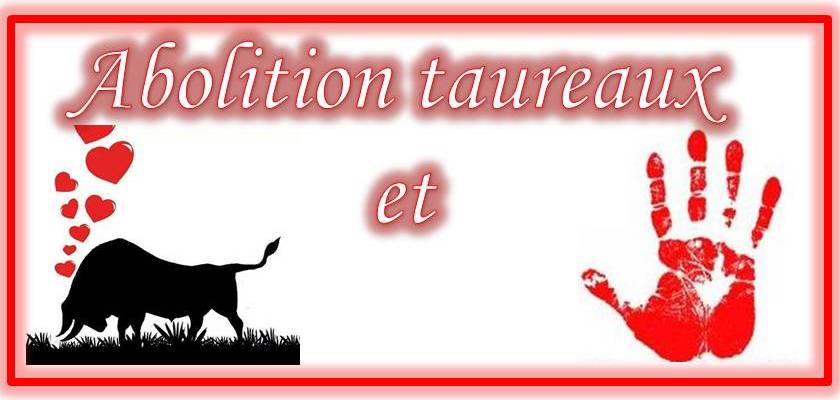 <a href="/EricAndrieuEU/">Eric Andrieu</a> #nomastoros <a href="/WWFFrance/">WWF France 🐼</a> Merci de soutenir demande 2164 / 2014 pour l'abolition de la corrida