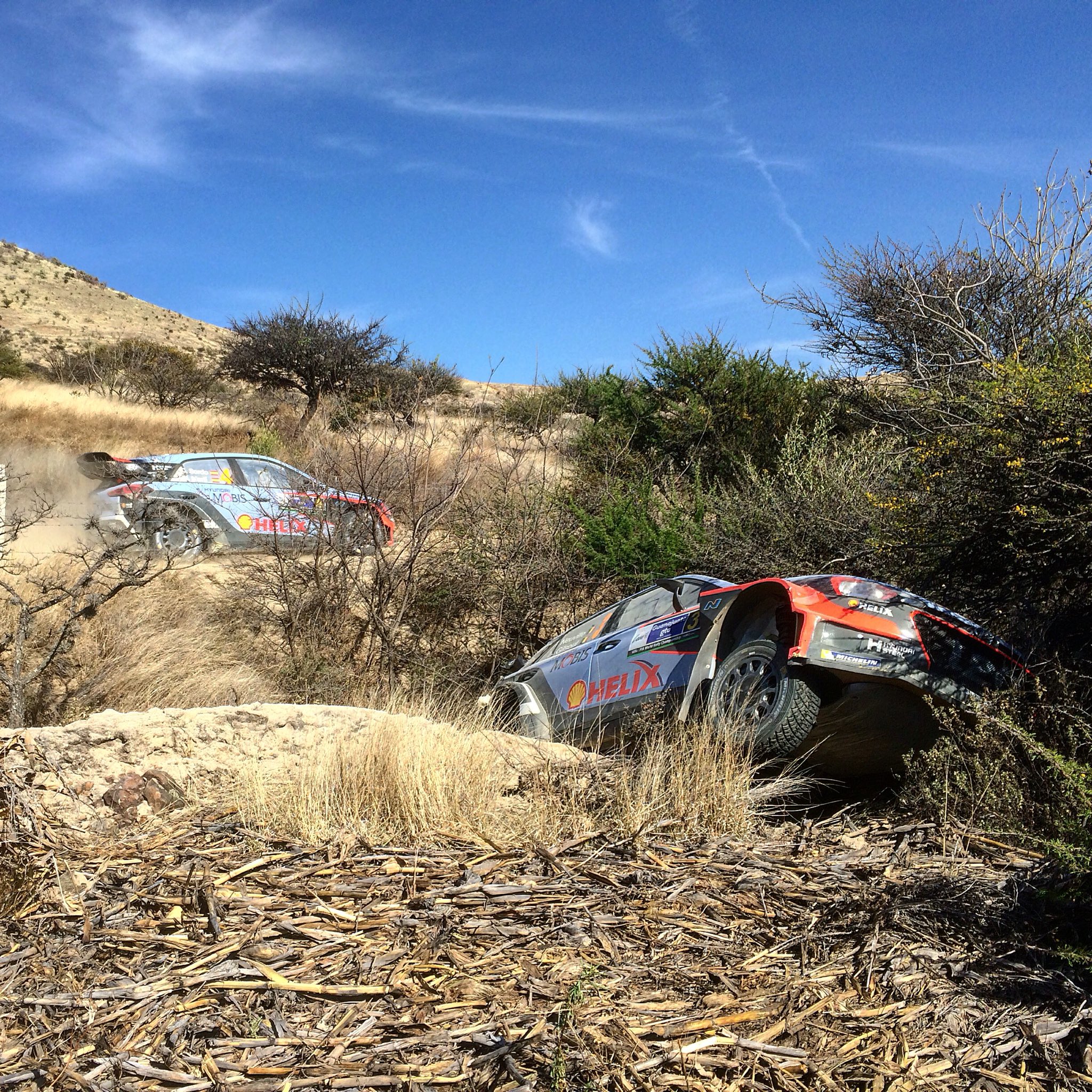 Rally de Mexico 2016 - Página 3 Cc1hvbyUcAAkuaJ