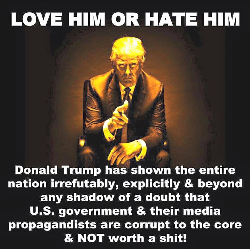 Image result for donald trump: the short biography of 45th president of usa