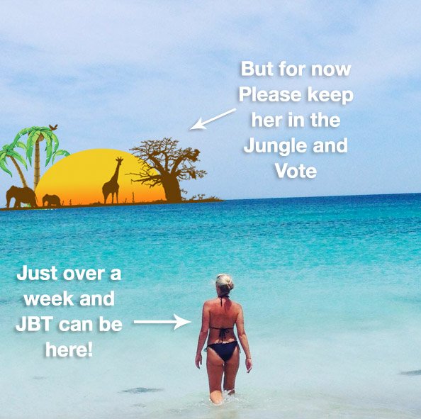 jobethtaylor71's tweet photo. Keep #CelebJoBeth going folks. The beach can wait. Retweet to vote #imacelebritynow https://t.co/JO8t2gM32u