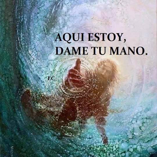 Afbeeldingsresultaat voor dame tu mano