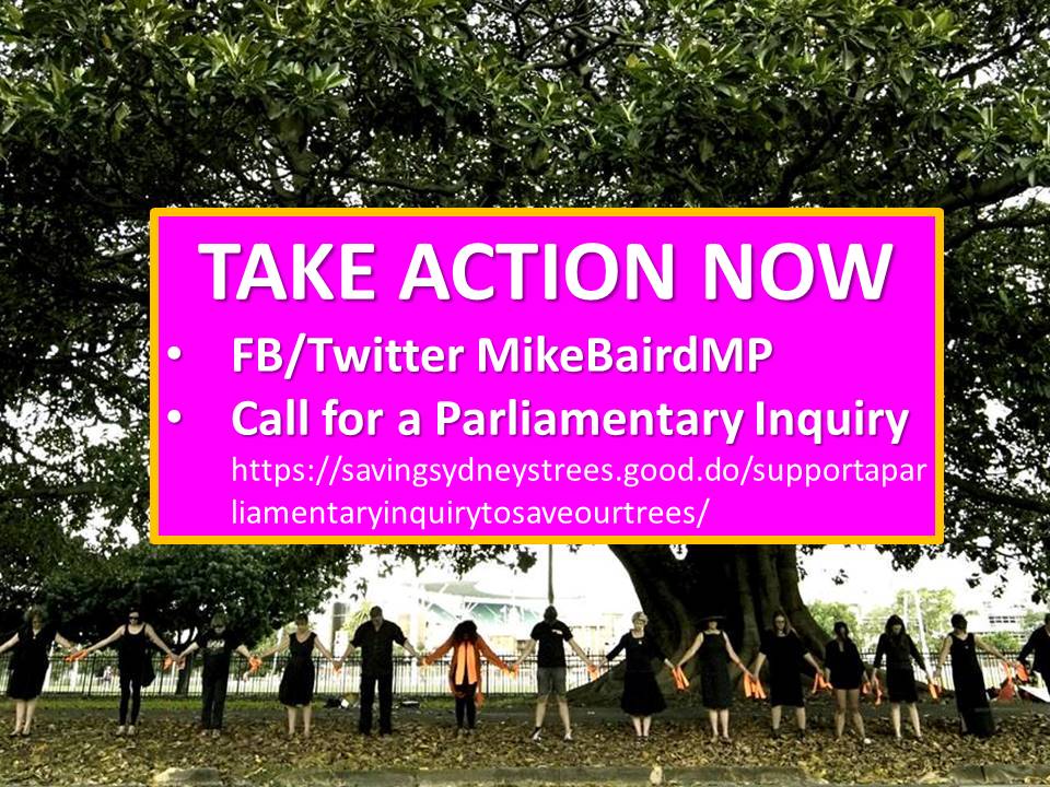 SydneysTrees's tweet photo. Take action NOW! #SavingSydneysTrees #AnzacParade #AlisonRd
Support the call for an Inquiry https://t.co/PaiUhkcnyB https://t.co/cpNCeWlZex