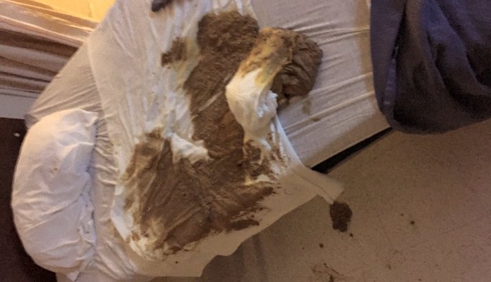 thebattypost's tweet photo. #Perth #backpacker 's secret plan to catch share-house #food #thief backfires - #Australia https://t.co/tQkmKEb04f https://t.co/9Gtr69uMzW
