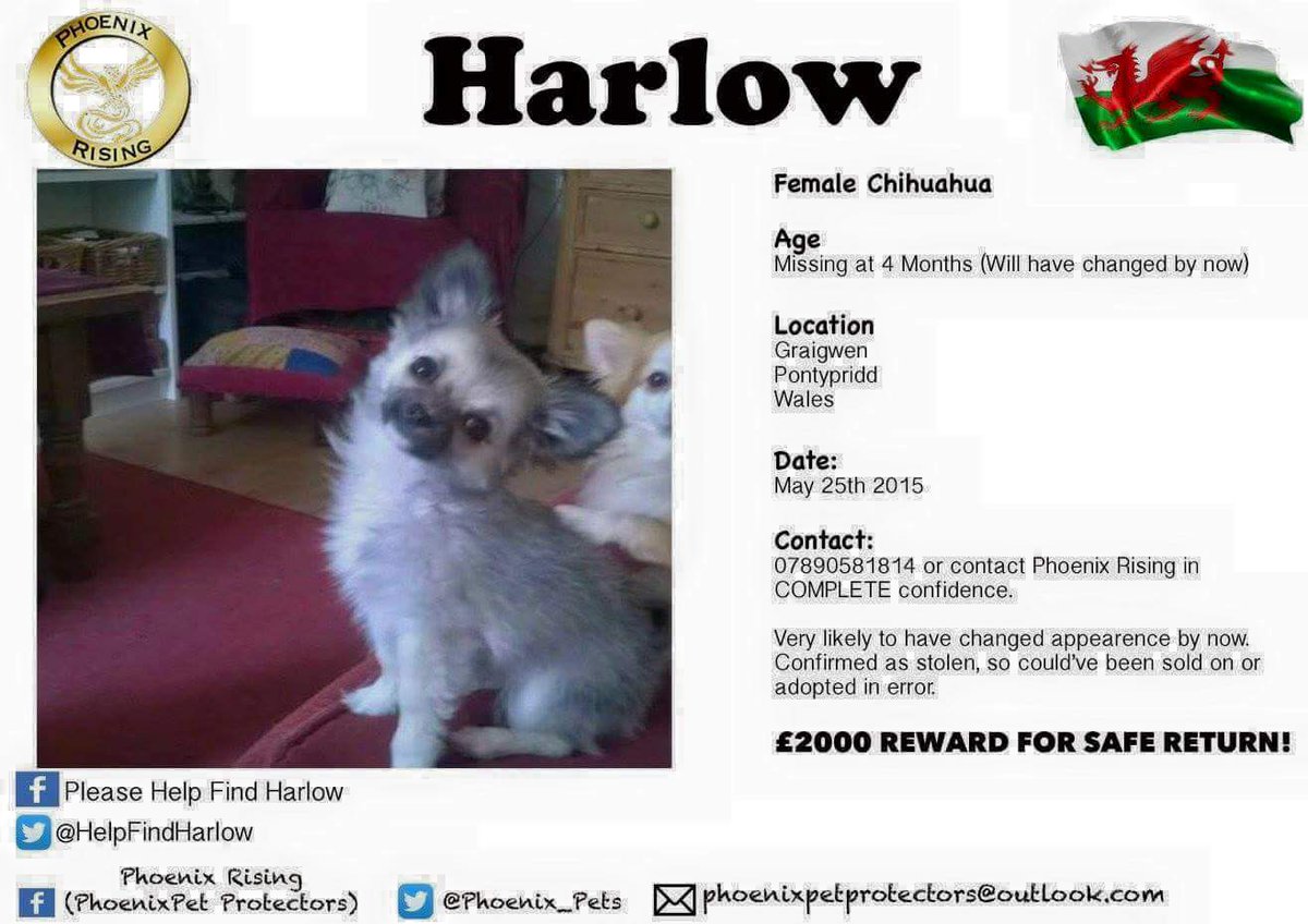 Lostbox-Lost & Found tweet media