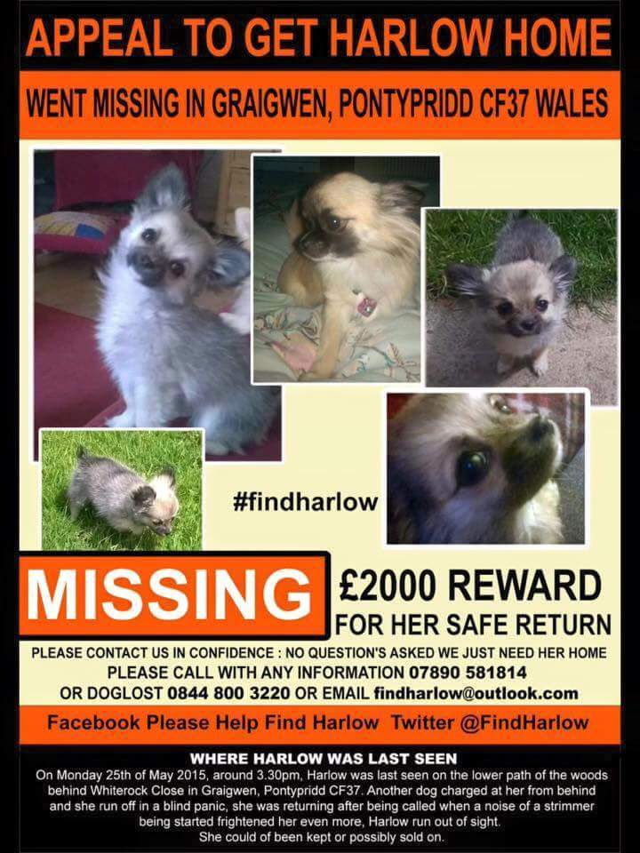 Lostbox-Lost & Found tweet media