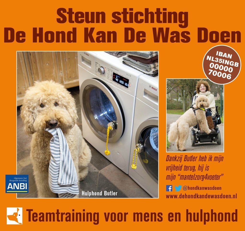 @korffdegidts <a href="/ElsevierNews/">Elsevier News</a> <a href="/elsevier/">Elsevier</a> <a href="/Emovatie/">Emovatie</a> <a href="/rieslit/">Ries</a> mooie vermelding! PleaseRT degoededoelenbank.nl/item/hond-kan-…
