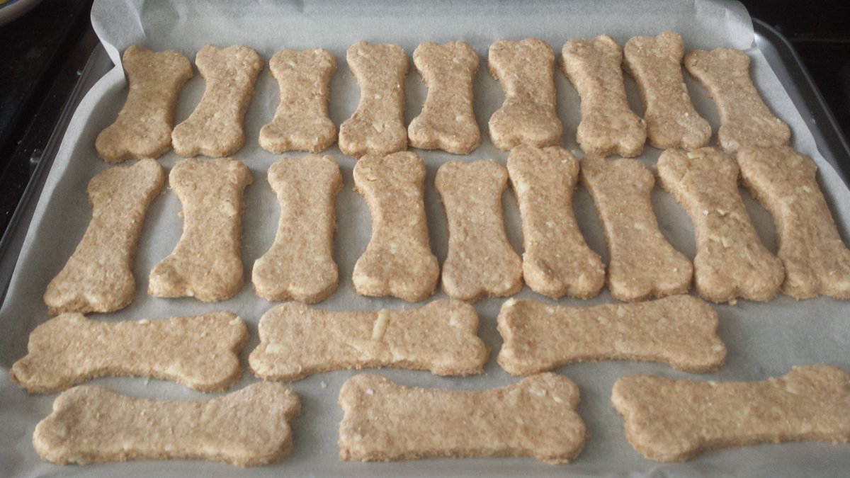 doggiedelights3's tweet photo. Cheesy biscuits going in! #bakeday #dogtreats #dogsoftwitter https://t.co/hlXuPujfpK