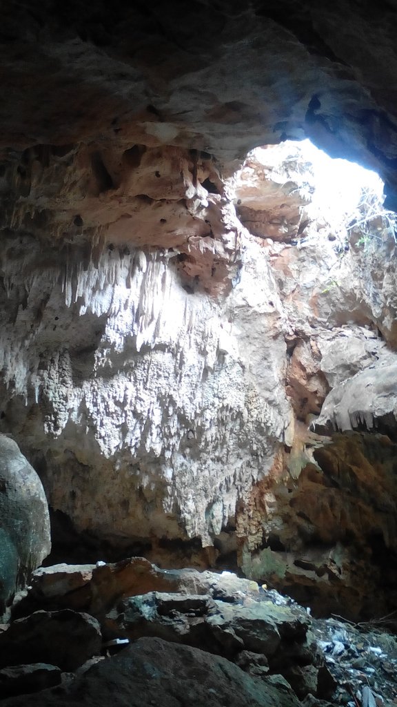 aktunmeyaj's tweet photo. Aktun Bej es la #cueva del camino que visitamos el día de hoy en #Maxcanu https://t.co/9MiDF9wK1k