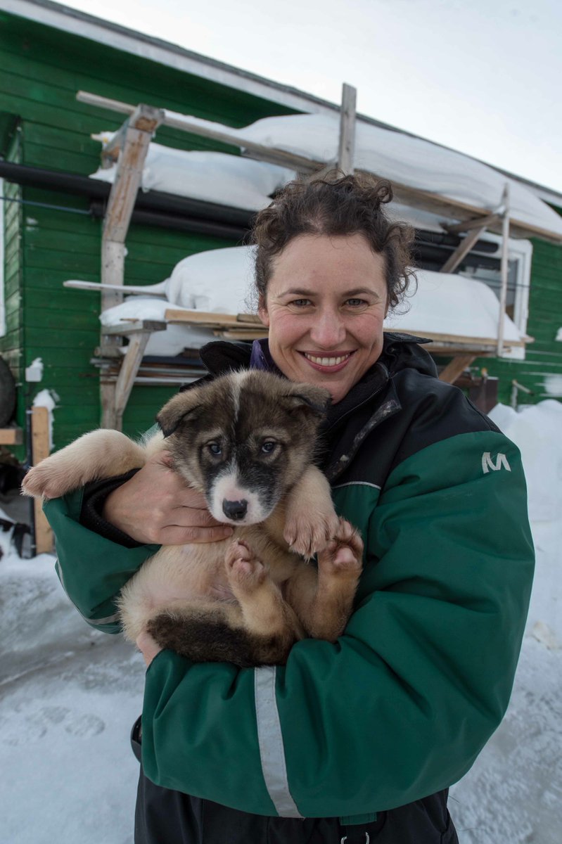 patraveleditor's tweet photo. Is @greensvalbard home to the cutest puppies in the Arctic? Back in beautiful #Svalbard with @VisitNorwayUK https://t.co/bIiuquXhpg