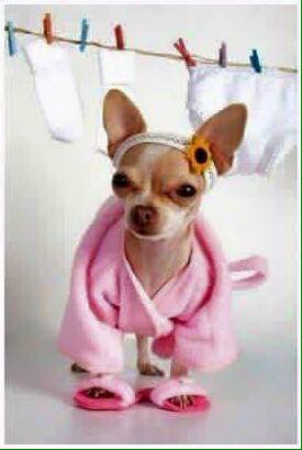 vampirechick601's tweet photo. https://t.co/dCBKLbXAcY