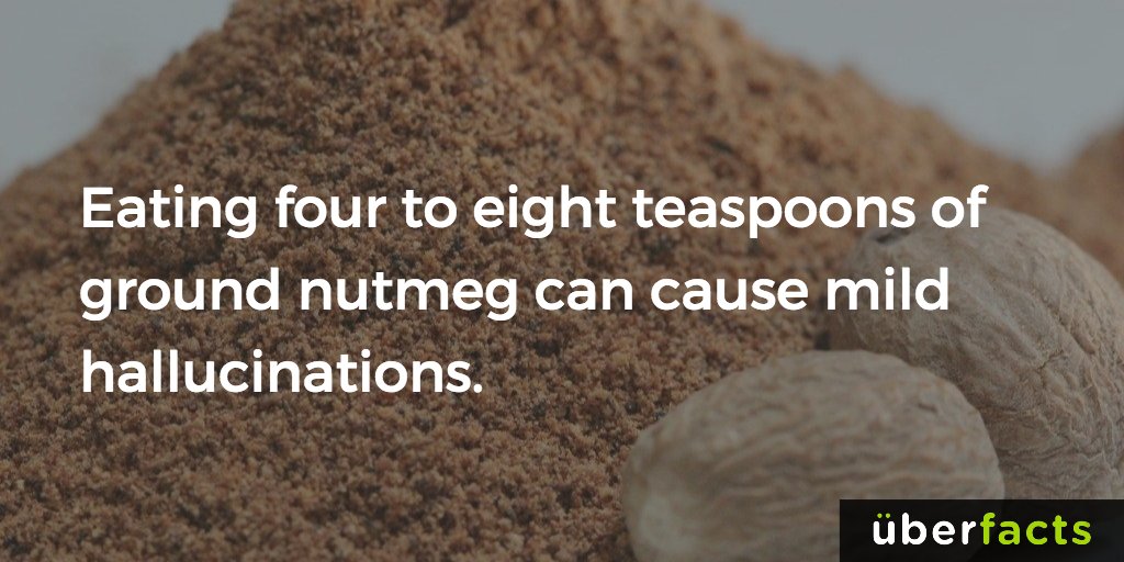 UberFacts's tweet photo. Oh. https://t.co/FDMogI1izm