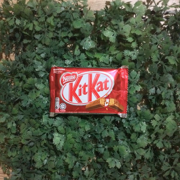 freaksdv's tweet photo. @kitkat_ph Please choose me for a #mybreak #concertbreak for #SLFLManila 5 Seconds of Summer Concert https://t.co/XniQlkjoIX