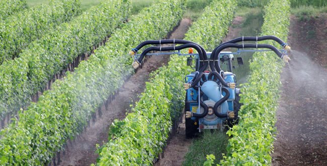 un arrêté préfectoral pour mieux protéger les enfants des #pesticides des #vignes #vin 
bit.ly/1Qs1gWA
