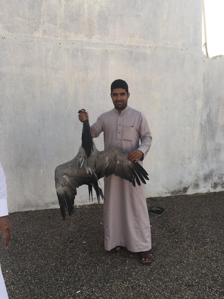 📛 علوووم الكرك 📛

الاحد 5/26   
اول الخير صيد اليوم
في " جدة "
🔥🔥    تجهزووو يالربع    🔥🔥

فااالكم الشحم ✋✋