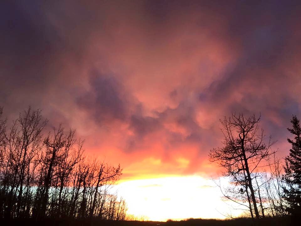 LifeLinesYoga's tweet photo. @aleximurdoch sings about this, I swear #orangesky #yeg #sunset https://t.co/q3czwHaX6O