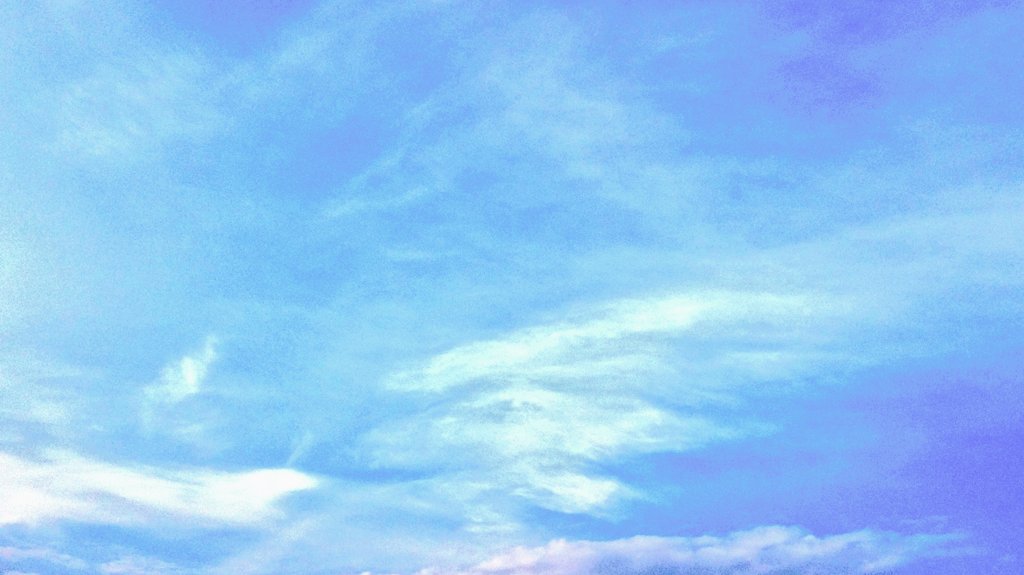 Mist trekt op...
Het wordt een prachtige dag...

#dezeekust #eropuit