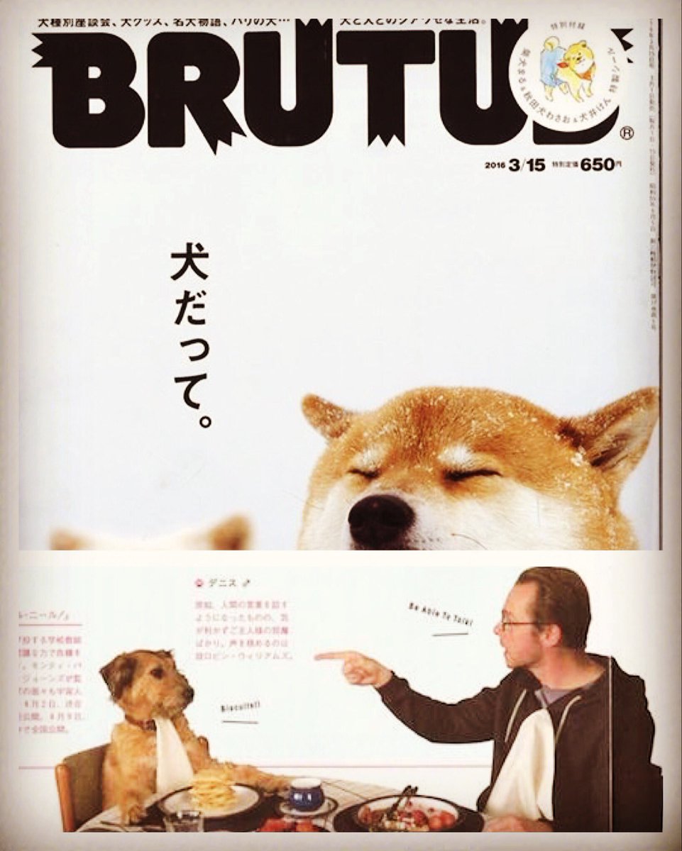映画 ミラクル ニール Twitterissa 今発売中の Brutus の特集は 犬 そしてなんと ミラクル ニール が しゃべる犬 が大活躍の映画 として大きくpick Upされてます Brutus ミラクルニール 愛犬をしゃべらせちゃった T Co Fuifsqrkux